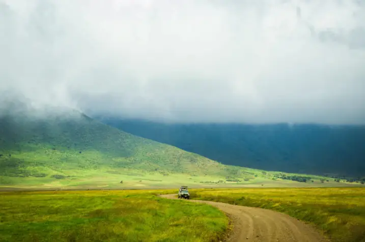 Tanzania Wildlife Adventure Tarangire • Serengeti • Ngorongoro day 2 photo 3