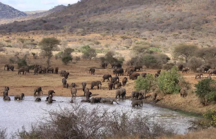The Rhino & Wild Frontier – Mkomazi Conservation Safari day 1 photo 2