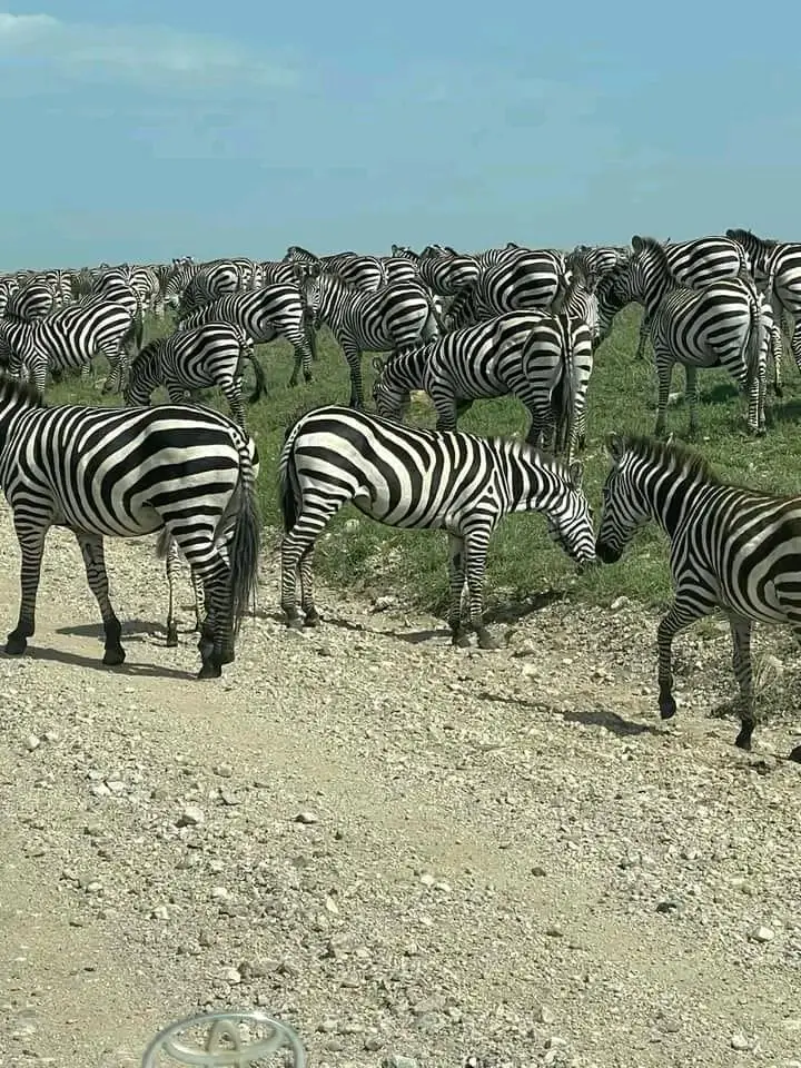 Northern Circuit Classic Safari day 3 photo 1