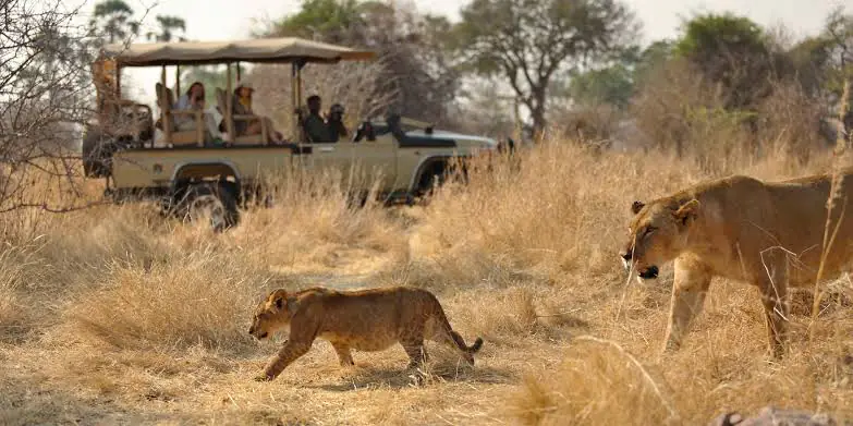 2 Days 1 Night - Ruaha National Park Safari day 1 photo 2