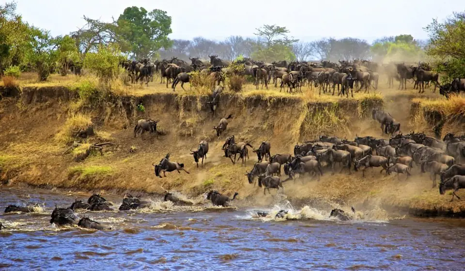 4- day Tarangire ,Serengeti and Ngorongoro. safari