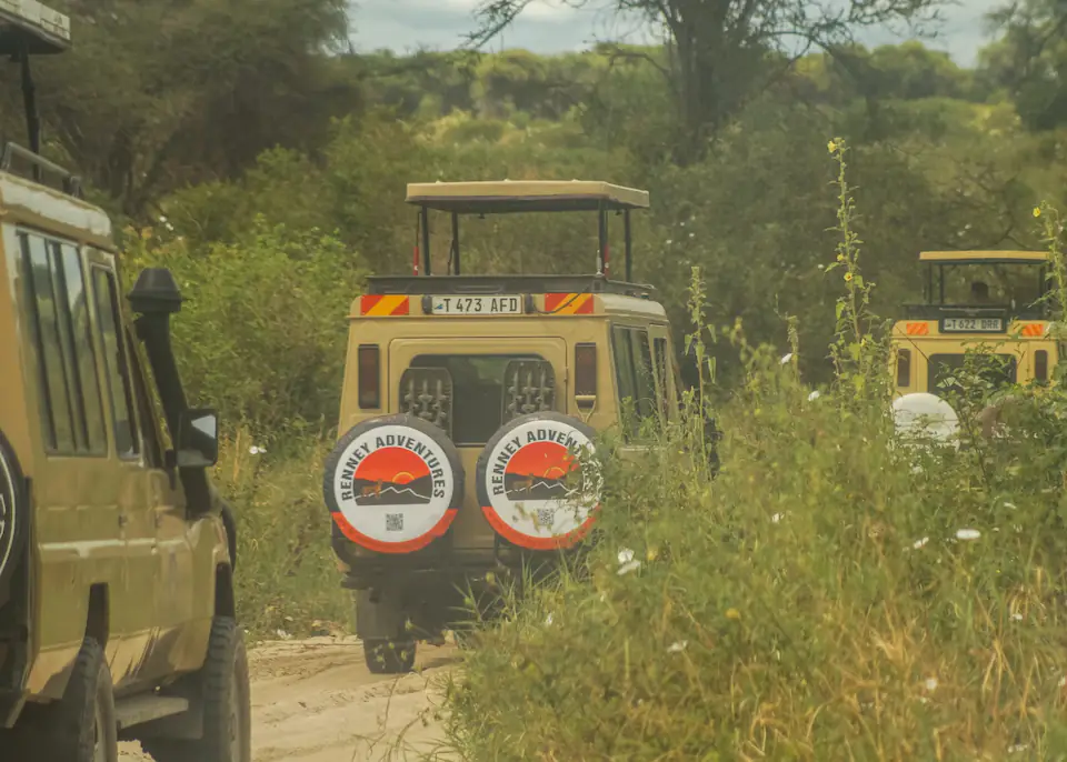 7 DAYS THE MAJESTIC KENYA AND TANZANIA LODGE SAFARI day 7 photo 3