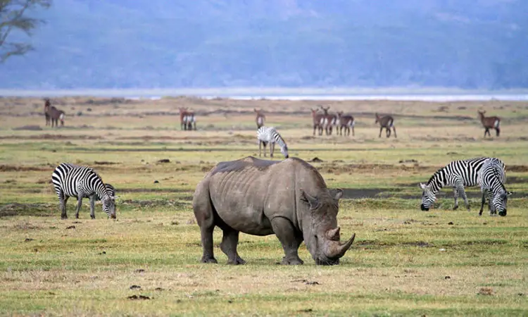 2-Day Safari Tarangire National Park and Ngorongoro creator Np day 2 photo 1