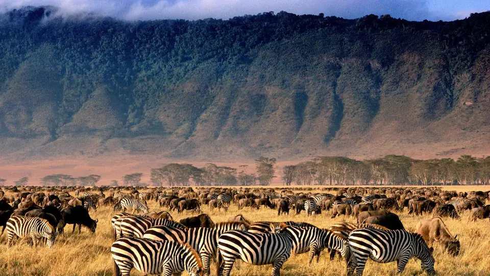 2-Day Safari Tarangire National Park and Ngorongoro creator Np day 2 photo 3