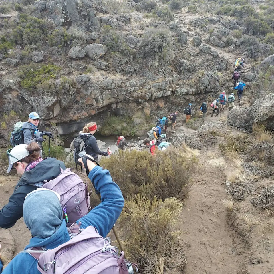 7-Days, Machame route, Mount Kilimanjaro trek. day 5 photo 3