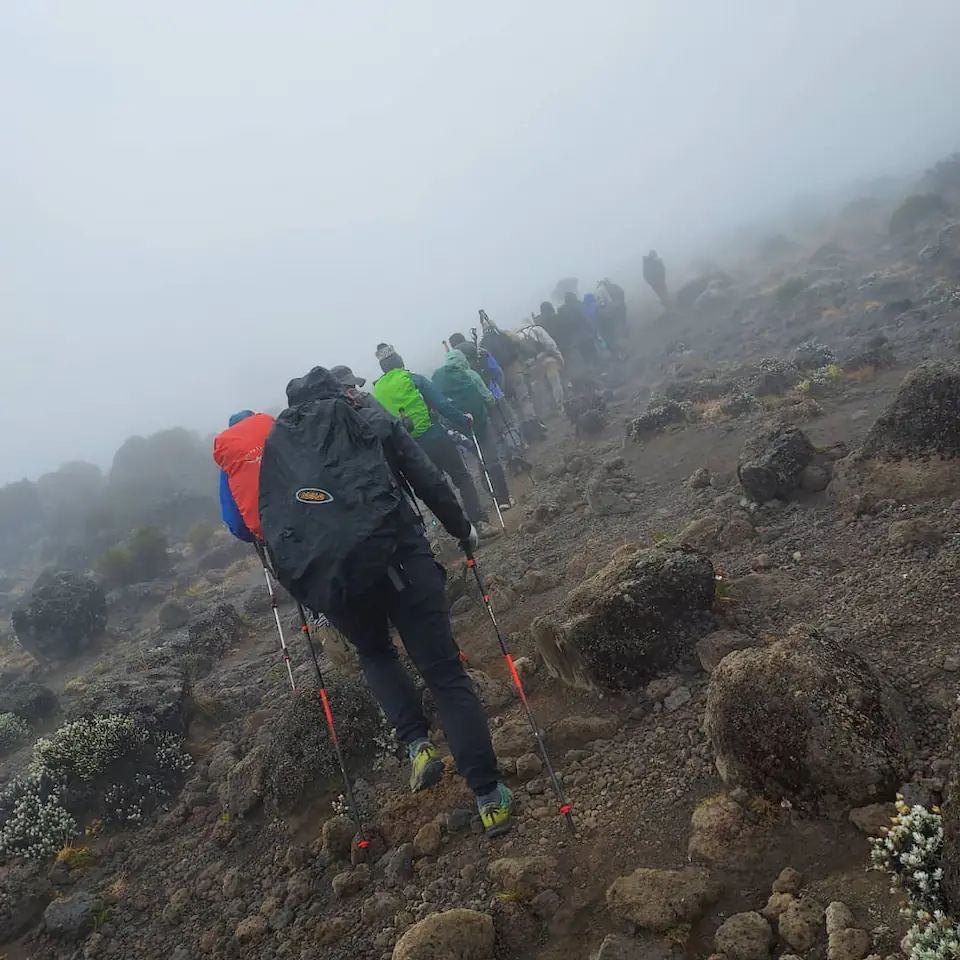 7-Days, Machame route, Mount Kilimanjaro trek. day 5 photo 1