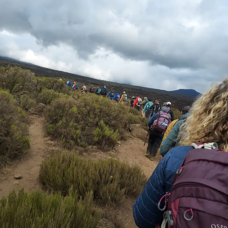 7-Days, Machame route, Mount Kilimanjaro trek. day 2 photo 1