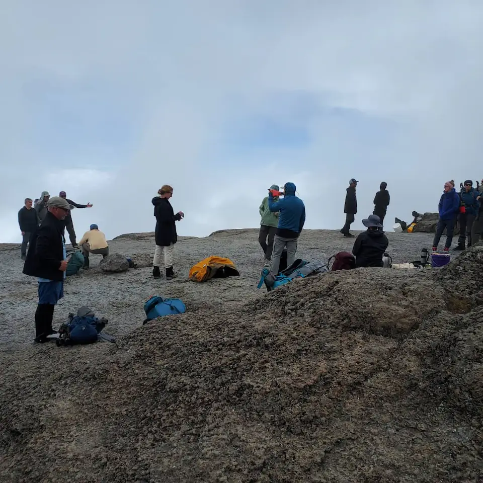 7-Days, Machame route, Mount Kilimanjaro trek. day 2 photo 2