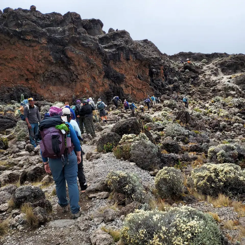 7-Days, Machame route, Mount Kilimanjaro trek. day 3 photo 1