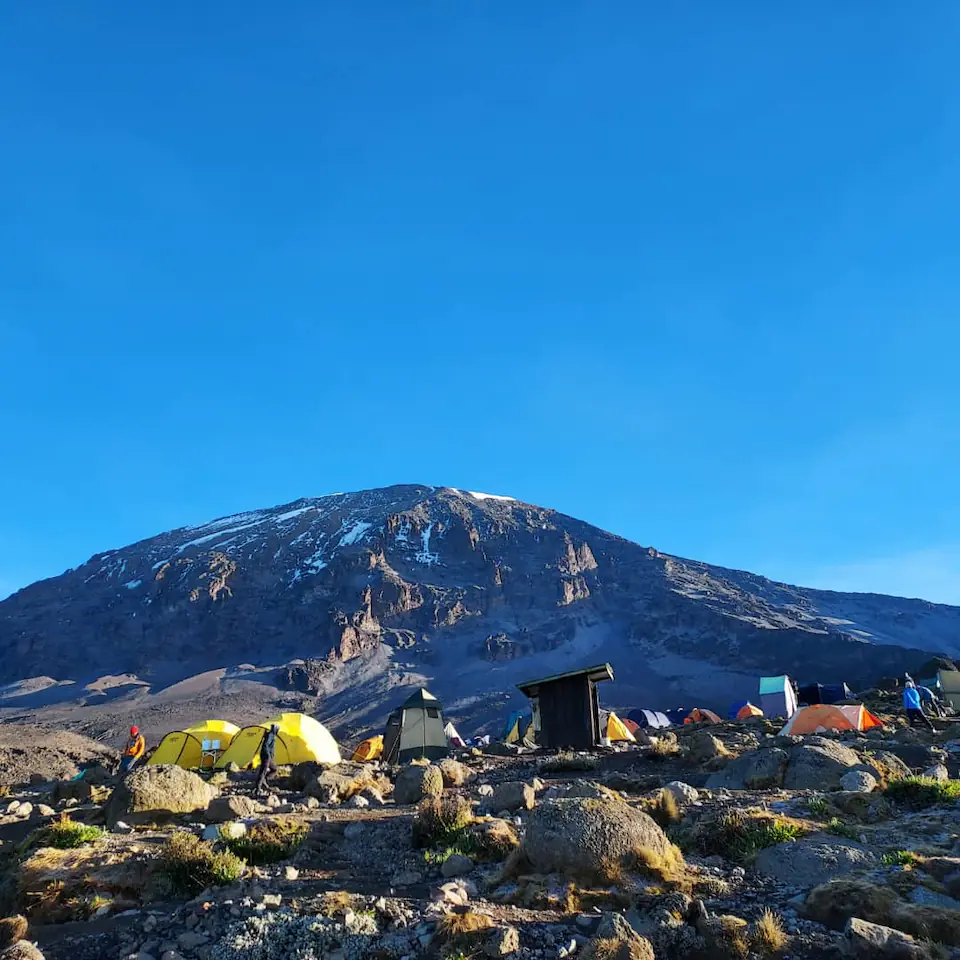 7-Days, Machame route, Mount Kilimanjaro trek. day 7 photo 2