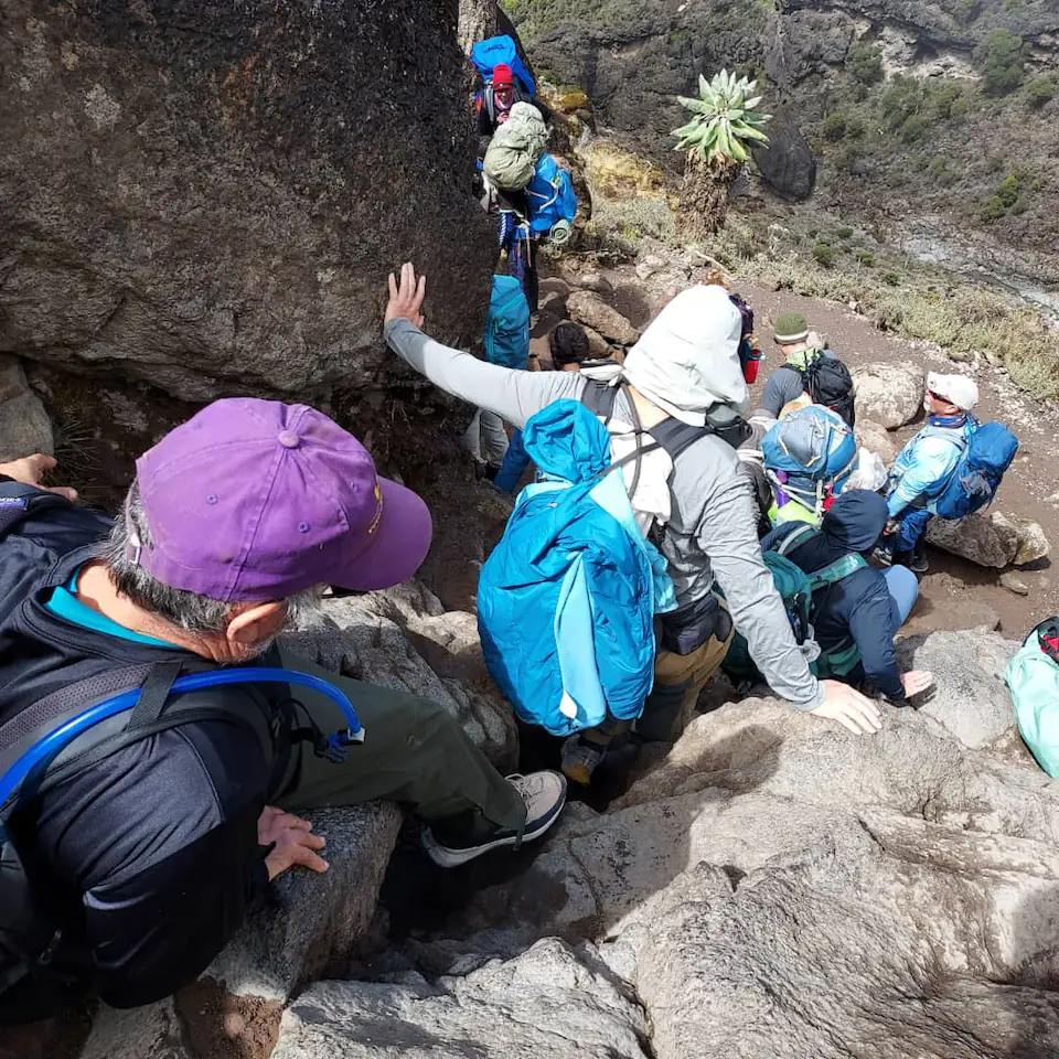 7-Days, Machame route, Mount Kilimanjaro trek. day 1 photo 2