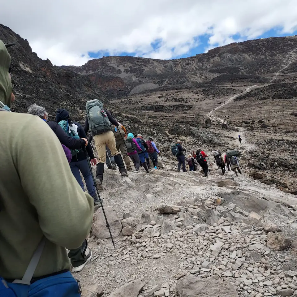 7-Days, Machame route, Mount Kilimanjaro trek. day 4 photo 3
