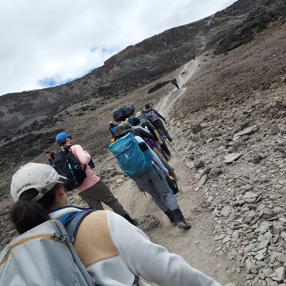 7-Days, Machame route, Mount Kilimanjaro trek. day 7 photo 3