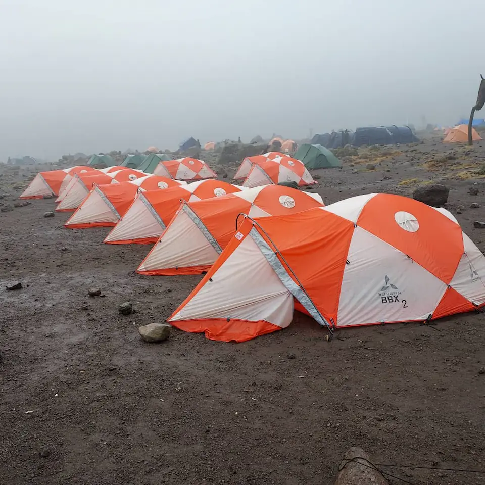 7-Days, Machame route, Mount Kilimanjaro trek. day 1 photo 1