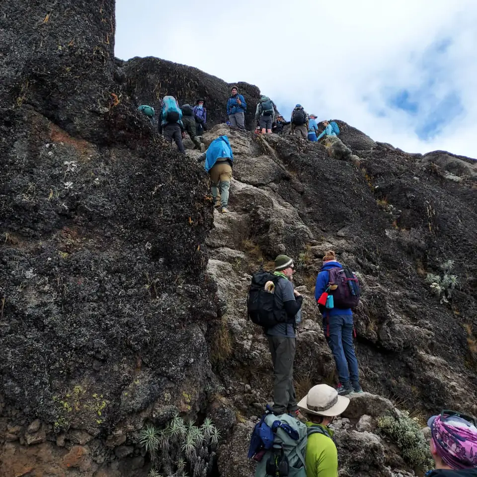 7-Days, Machame route, Mount Kilimanjaro trek. day 5 photo 2