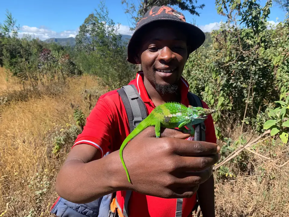 4 Days Usambara mountains hike day 1 photo 2