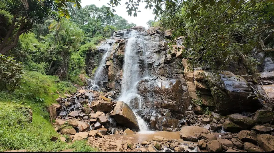 4 Days Usambara mountains hike day 4 photo 1
