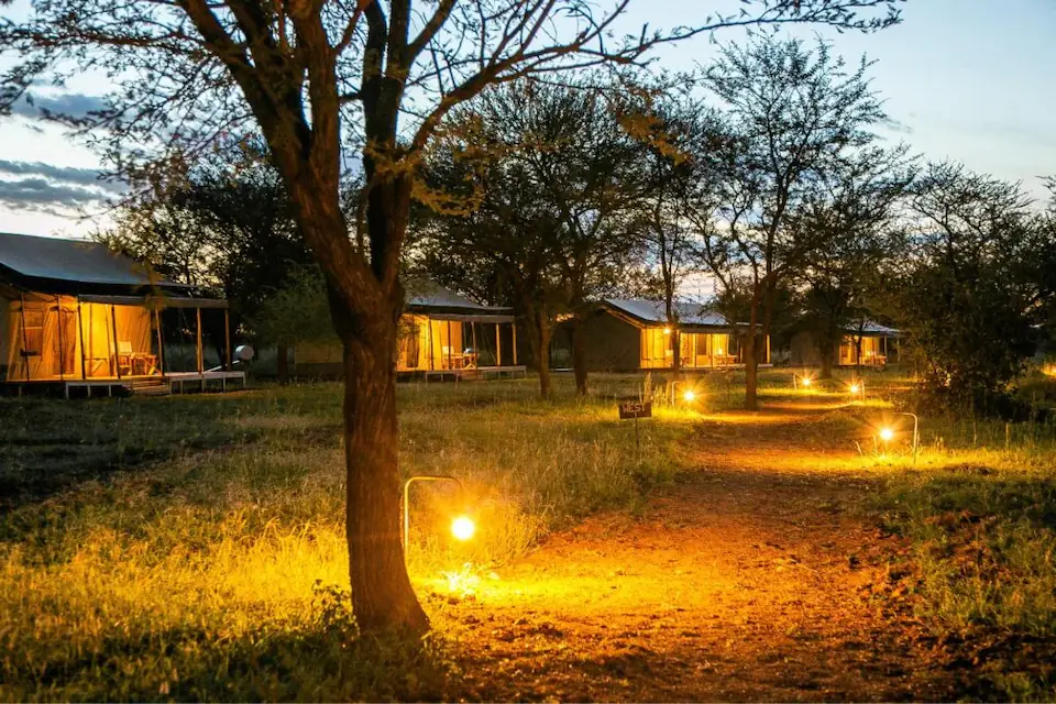 6 Days in the Heart of the Serengeti & Ngorongoro day 5 photo 3
