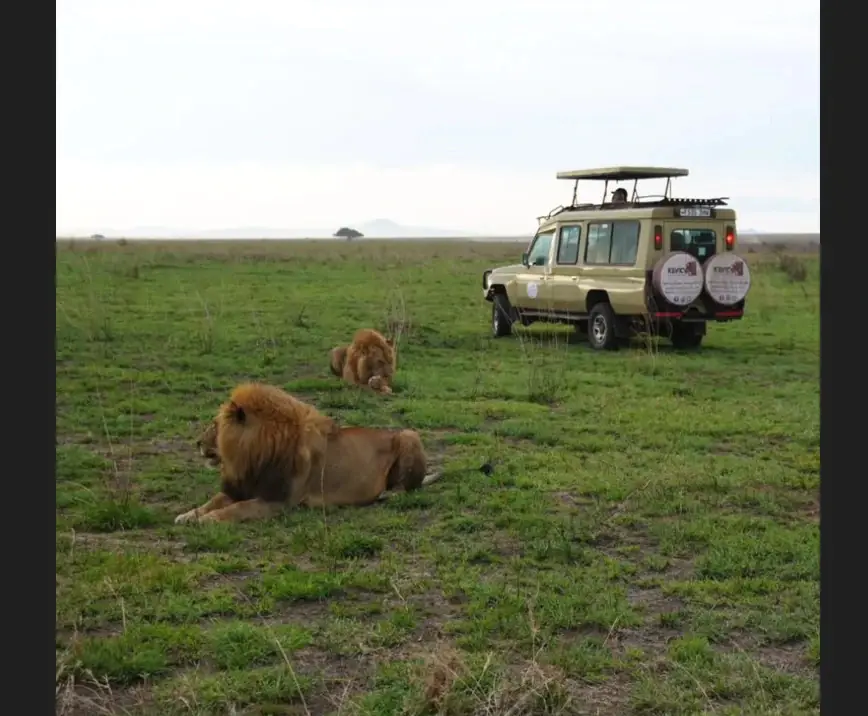 6 Days in the Heart of the Serengeti & Ngorongoro day 6 photo 1