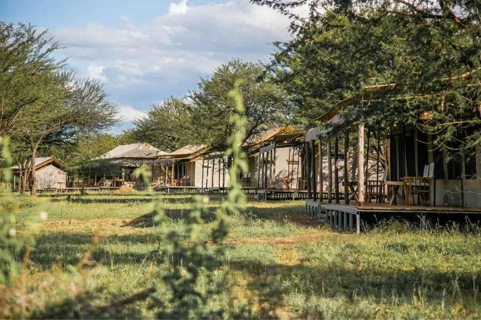 6 Days in the Heart of the Serengeti & Ngorongoro day 4 photo 1