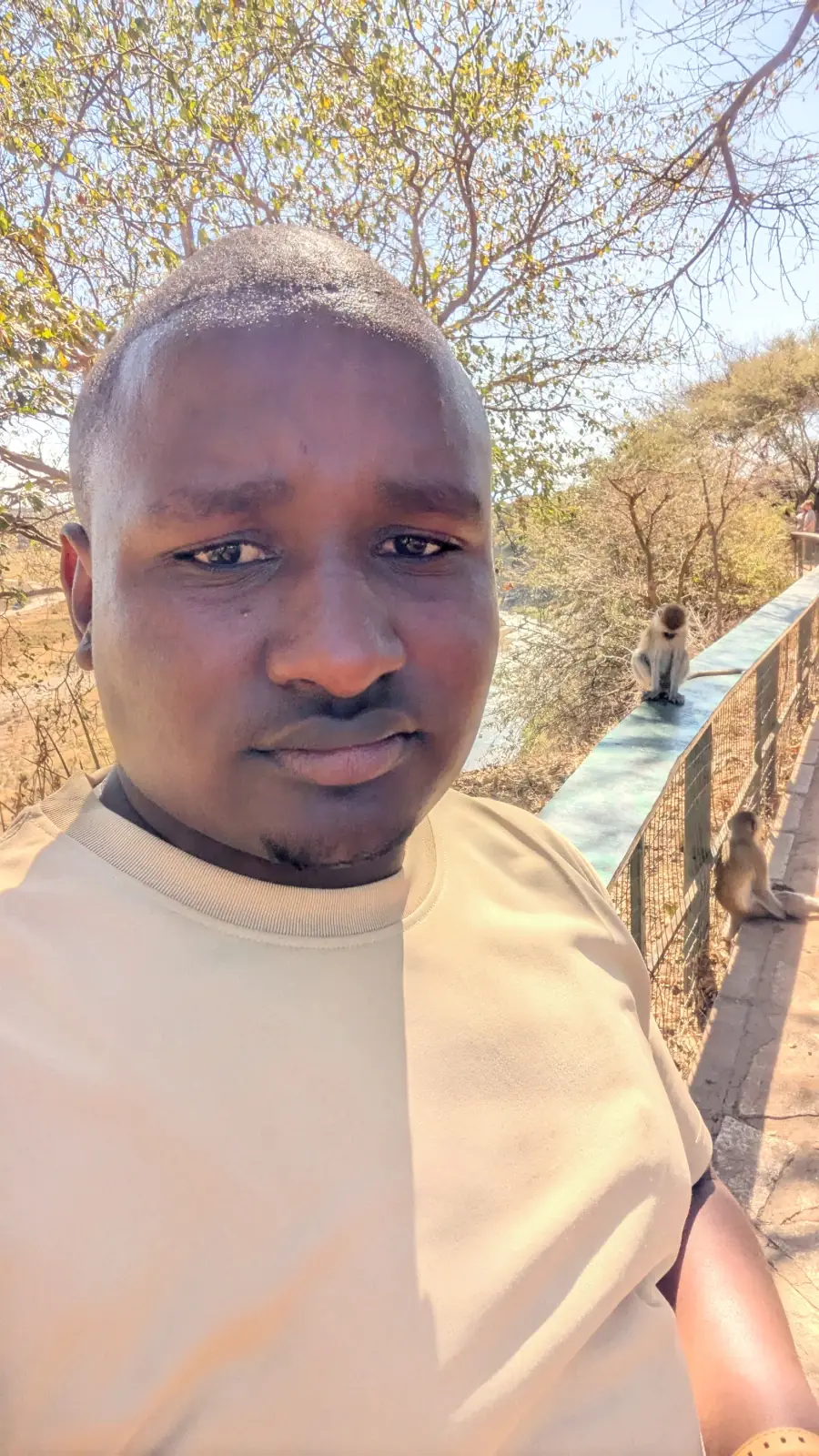 amos lyimo
