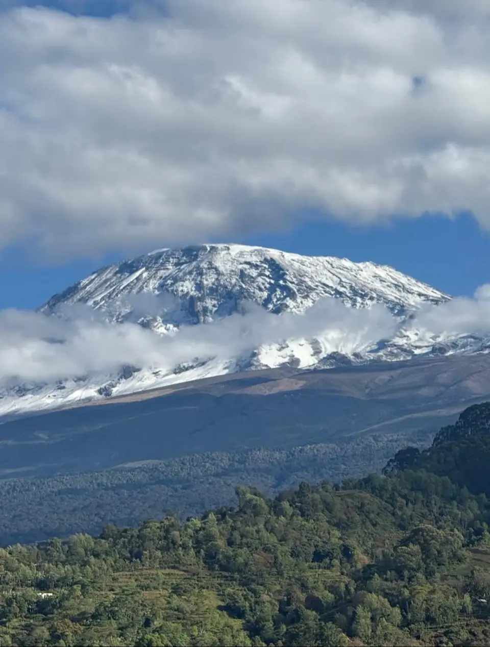 Mula Chiba
